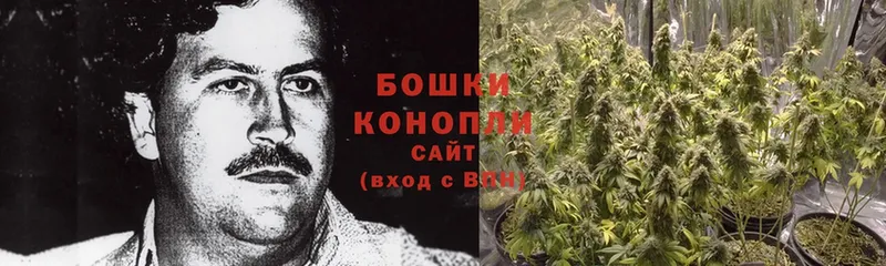 наркота  Касимов  Бошки марихуана LSD WEED 